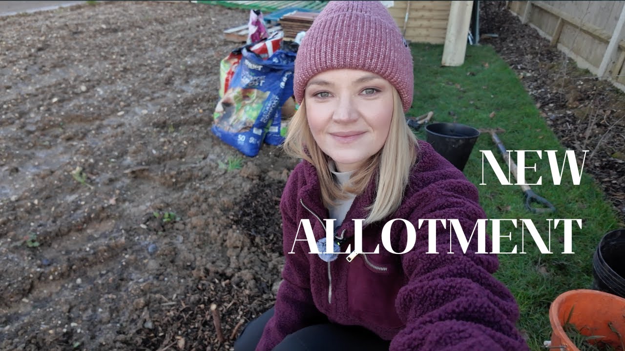 First Proper Allotment Vlog 2026 - Planting Raspberries in Winter 🌱