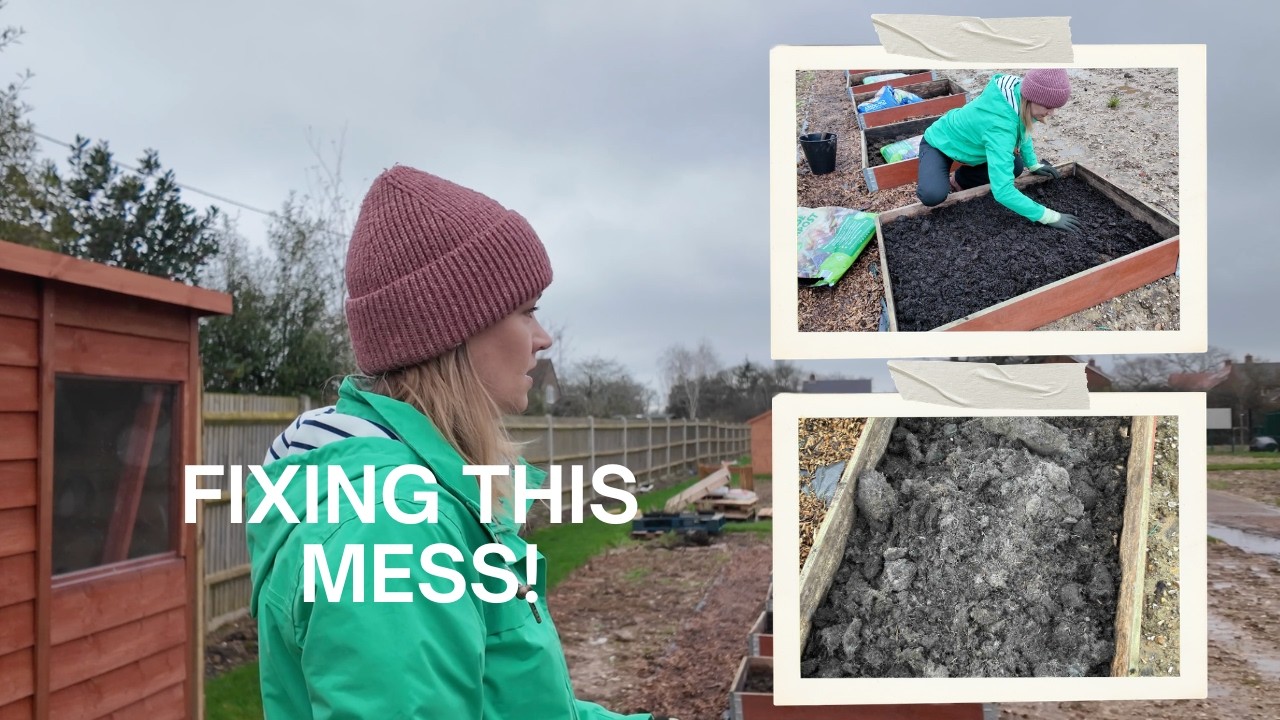 Fixing My Allotment After BAD Compost 🌱 Can Manure Save My Beds? 🌿
