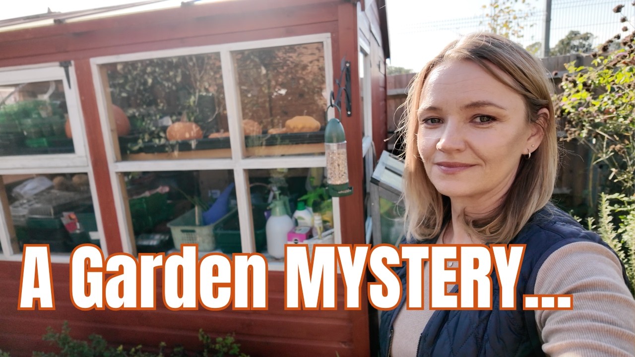 A Ghost In My Shed π» A Rat In My Garden! π Welcome October ππ