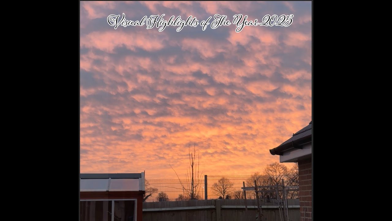 Visual Garden Highlights of the Year 2025