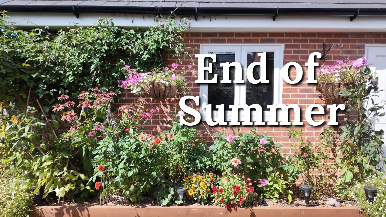 What’s Growing in My Garden at the End of August Late Summer Garden Tour