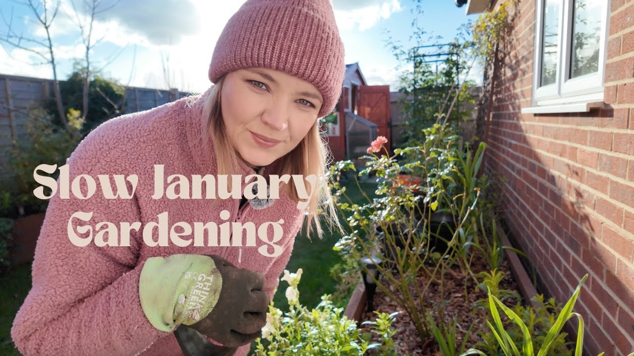 Lifting Perennials in January - Preparing Plants for the Allotment 🌿