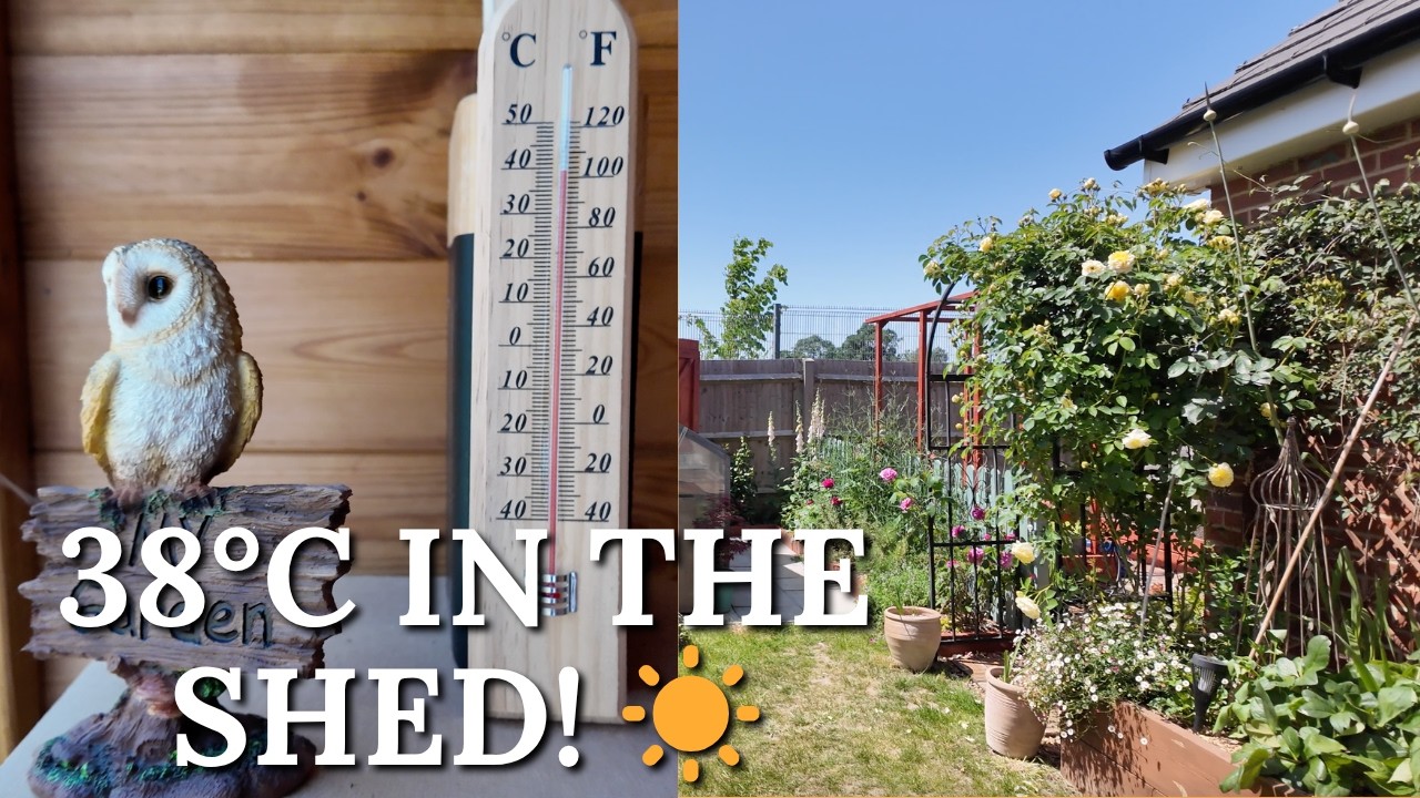May Heatwave in England | UK Gardening