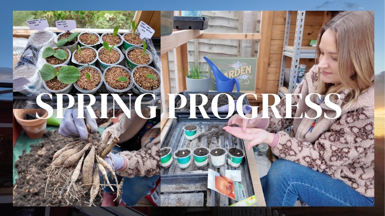 A Productive Spring Garden Day | Potting Pumpkins, Sweet Corn & Checking Old Dahlia Tubers