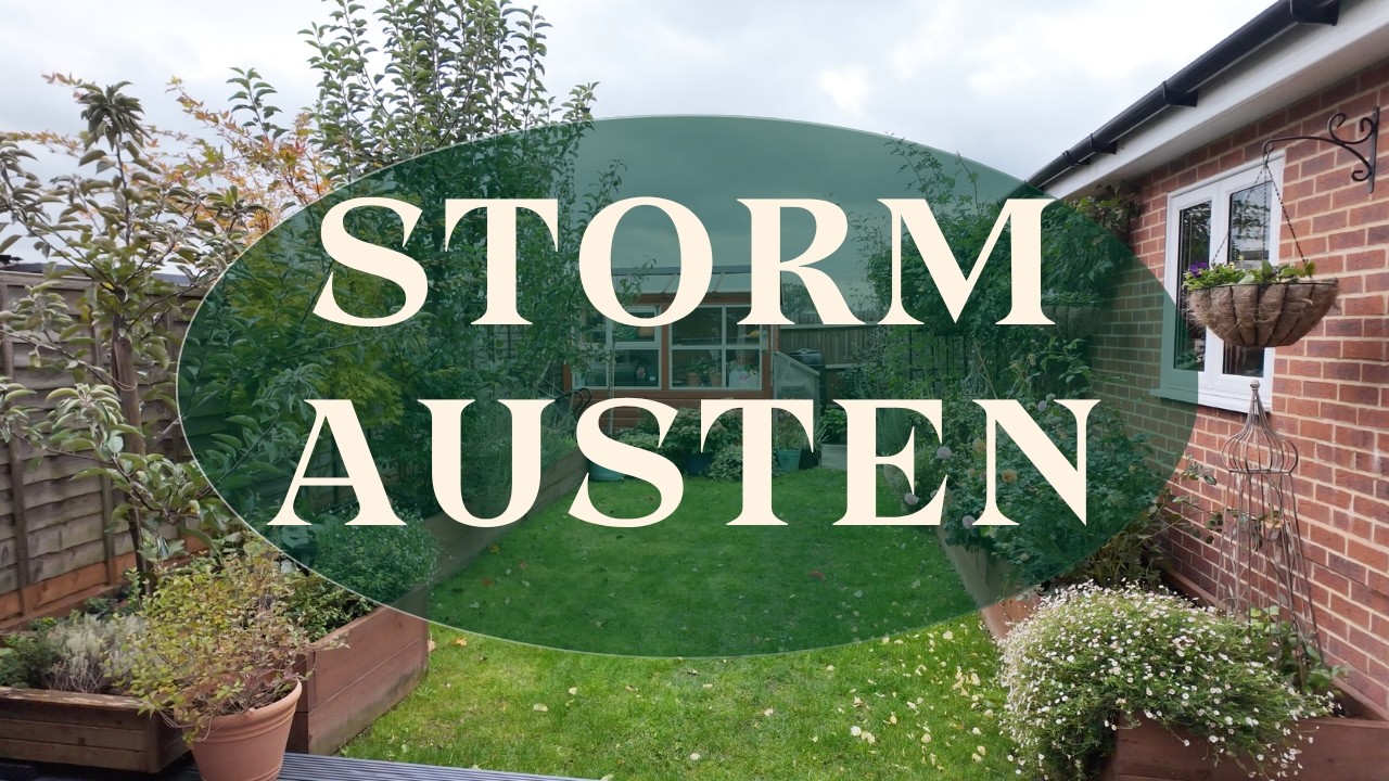 Storm Austen in My Windy Garden 💨 How Are the Plants Holding Up?