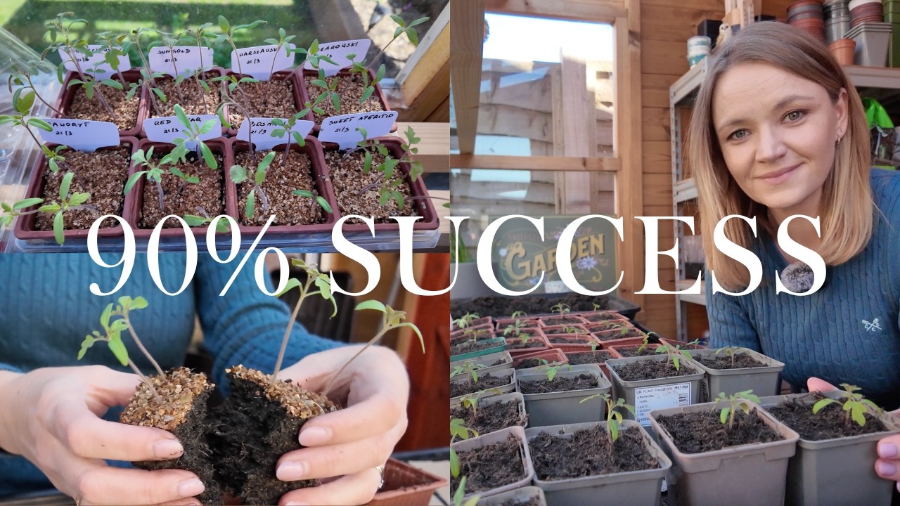 90% Tomato Germination?! Pricking Out & Potting Up Seedlings | Beginner Guide