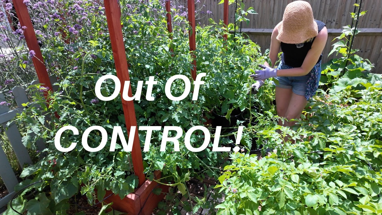 What a Chaos! 😲 | Kitchen Garden Transformation